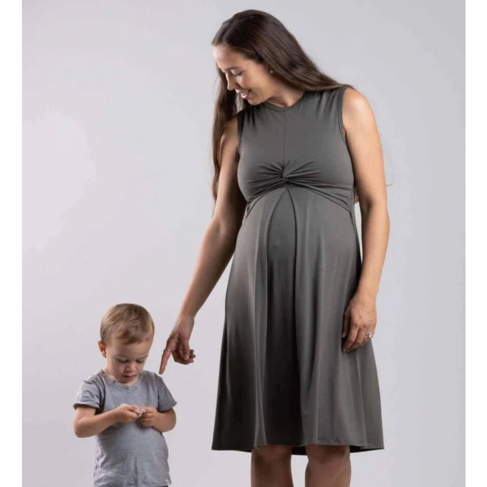 Debra Maternity & Nursing Dress